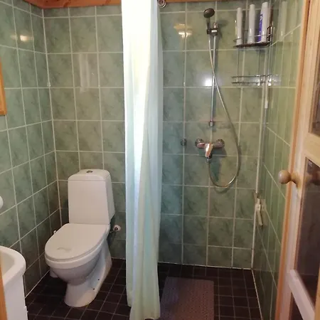 Cottage-karaoke Koivikko 木屋 Äänekoski