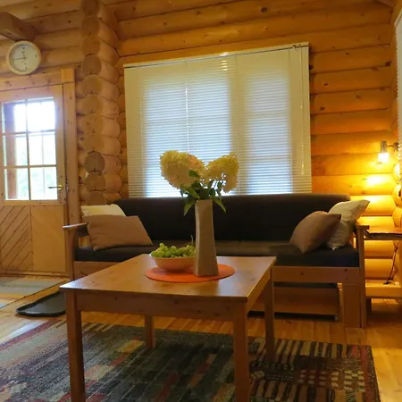 Cottage-karaoke Koivikko 샬레 Äänekoski
