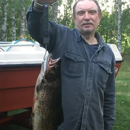 Cottage-karaoke Koivikko Äänekoski